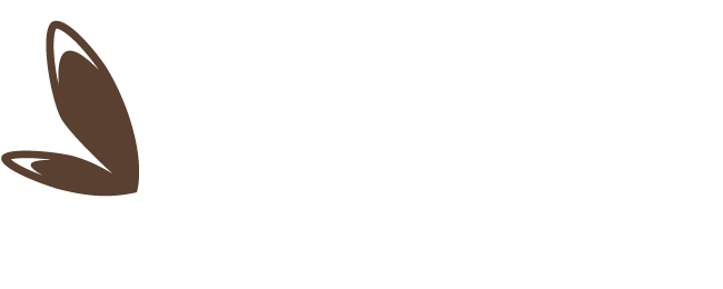 Sandra Allouche