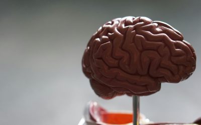 Journée mondiale de la maladie de Parkinson : l’espoir émerge